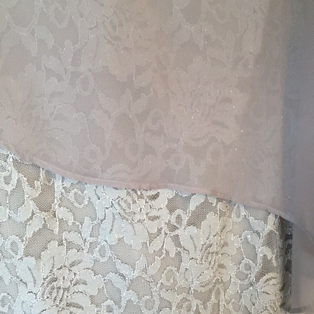 Ronnie Nicole mother of the bride dress - Picture 2 of 12